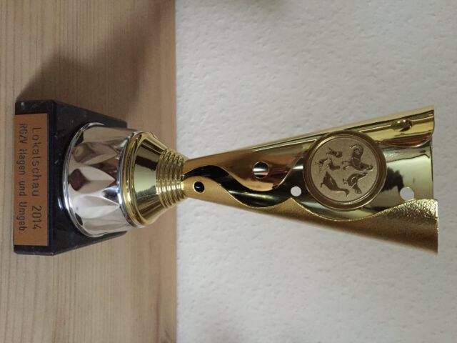 Lokalschau RGZV Hagen und Umgebung 2014 - Ehrenpokal auf 0,1 Orpington blaugesäumt