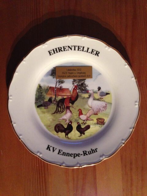 Lokalschau Hagen 2013 - Ehrenteller auf 0,1 Orpington gelb-schwarzgesäumt