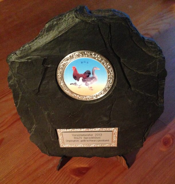 Lokalschau Sprockhövel 2013 - Vereinsmeister auf Orpington gelb-schwarzgesäumt