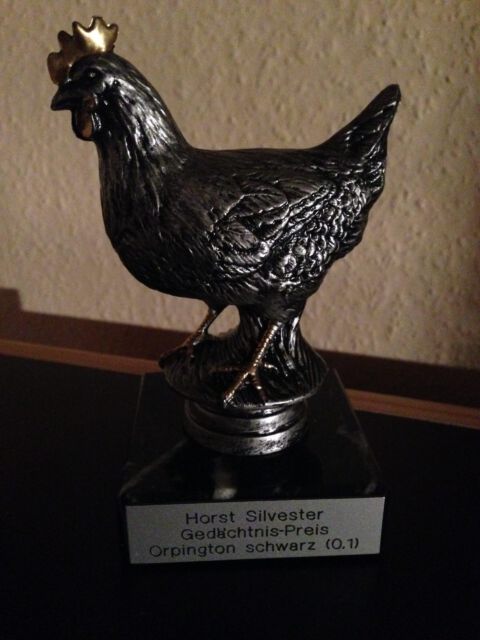 Lokalschau Sprockhövel 2013 - Gedächtnis Preis auf 0,1 Orpington schwarz