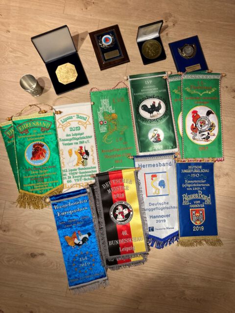 Zusammenstellung - Ausstellungsjahr 2019 -