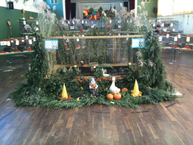 Ausstellung Teich - Bild 2