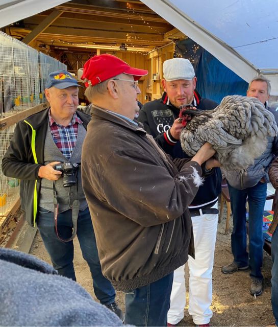 Tierbesprechung 2021 (Ost)